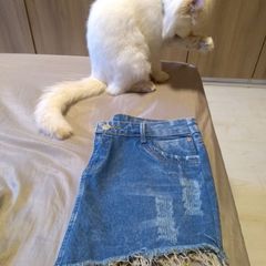 calças da levis feminina em promoção