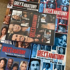 Grey's Anatomy - 8ª Temporada Completa