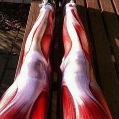 legging musculos