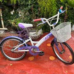 Bicicleta Cromada Comprar Novos Usados Enjoei