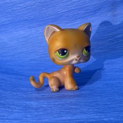 lote 12 figuras little pet shop gatos gatitos p - Comprar Outras