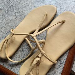 rasteirinhas amarelas