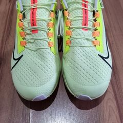 Nike 2025 pegasus 25