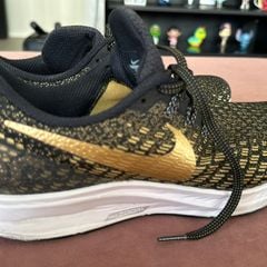 Nike 2025 pegasus 25