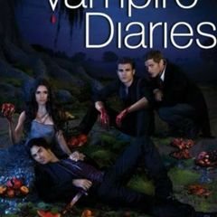 Dvd Original The Vampire Diaries Primeira Temporada (Diarios de Um Vampiro), Filme e Série Usado 78867262