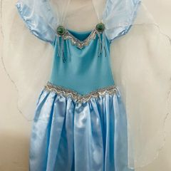 Fantasia Princesinha Sofia Luxo.mult - Desapegos de Roupas quase novas ou  nunca usadas para bebês, crianças e mamães. 562551