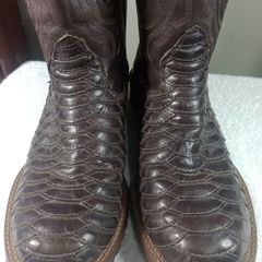 Butina texana sales