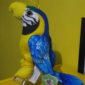 pelúcia/ arara azul novinha, 24cm.
