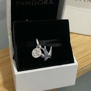 berloque pandora a durinha 129074207?action_source=67326&ref=home_home&rsp=1&rspix=1