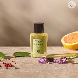 colonia futura acqua di parma unissex eau de cologne 135235746?action_source=68872&ref=home_home&rsp=1&rspix=1