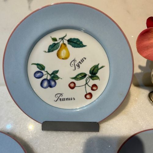 jogo de pratos de sobremesa vista alegre 136800426?action_source=69863&ref=home_home&rsp=1&rspix=1