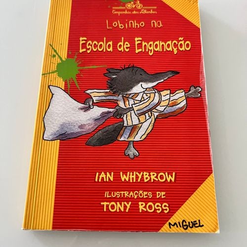 livro infantil lobinho na escola da enganacao 134391527?action_source=66992&ref=home_home&rsp=1&rspix=1