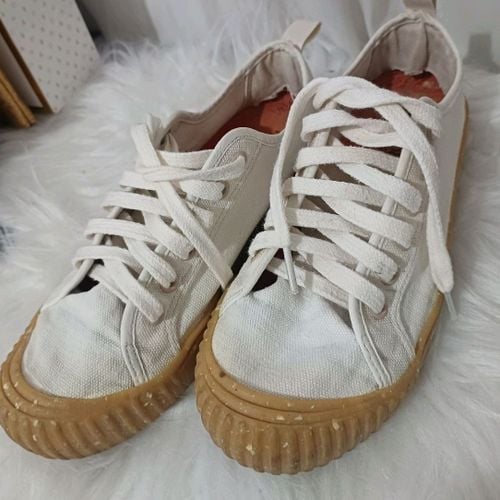 Tenis Havaianas Tns Bege 36