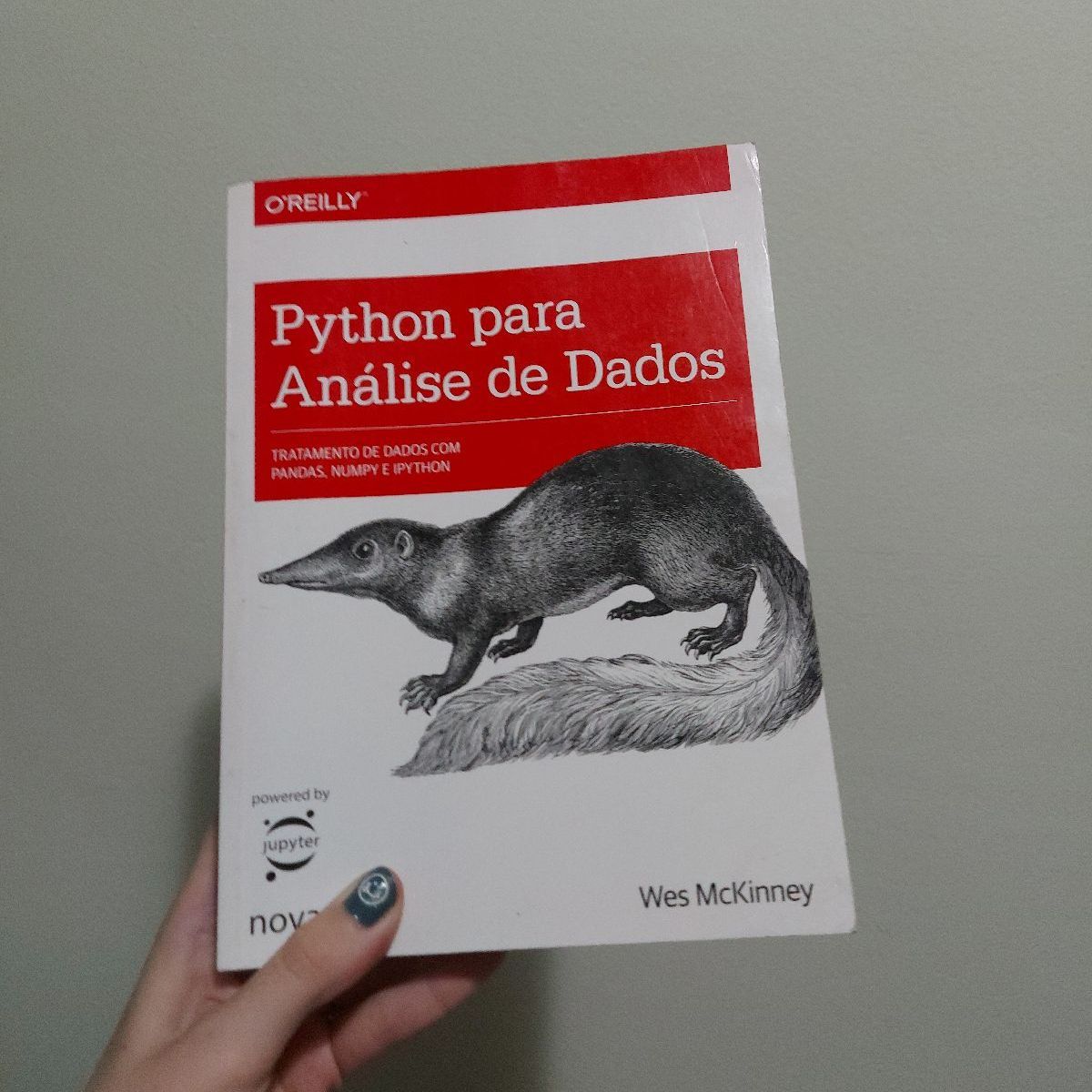 Python Para Análise De Dados Wes Mckinney Livro Oreilly Usado