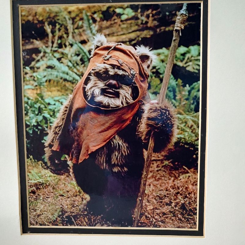 SF・ファンタジー・ホラー Star Wars Ewok Quadro Ewok Star Wars | Walt Disney Nunca Usado 89929326 | enjoei