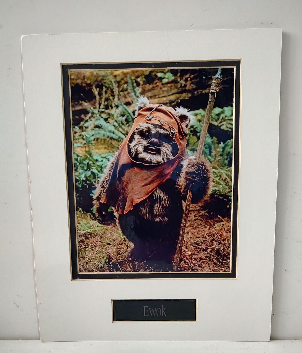 Quadro Ewok Star Wars | Walt Disney Nunca Usado 89929326 | enjoei