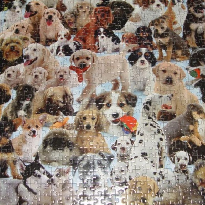 Quebra-Cabeça 1000 Peças - Dogmania - MP Brinquedos