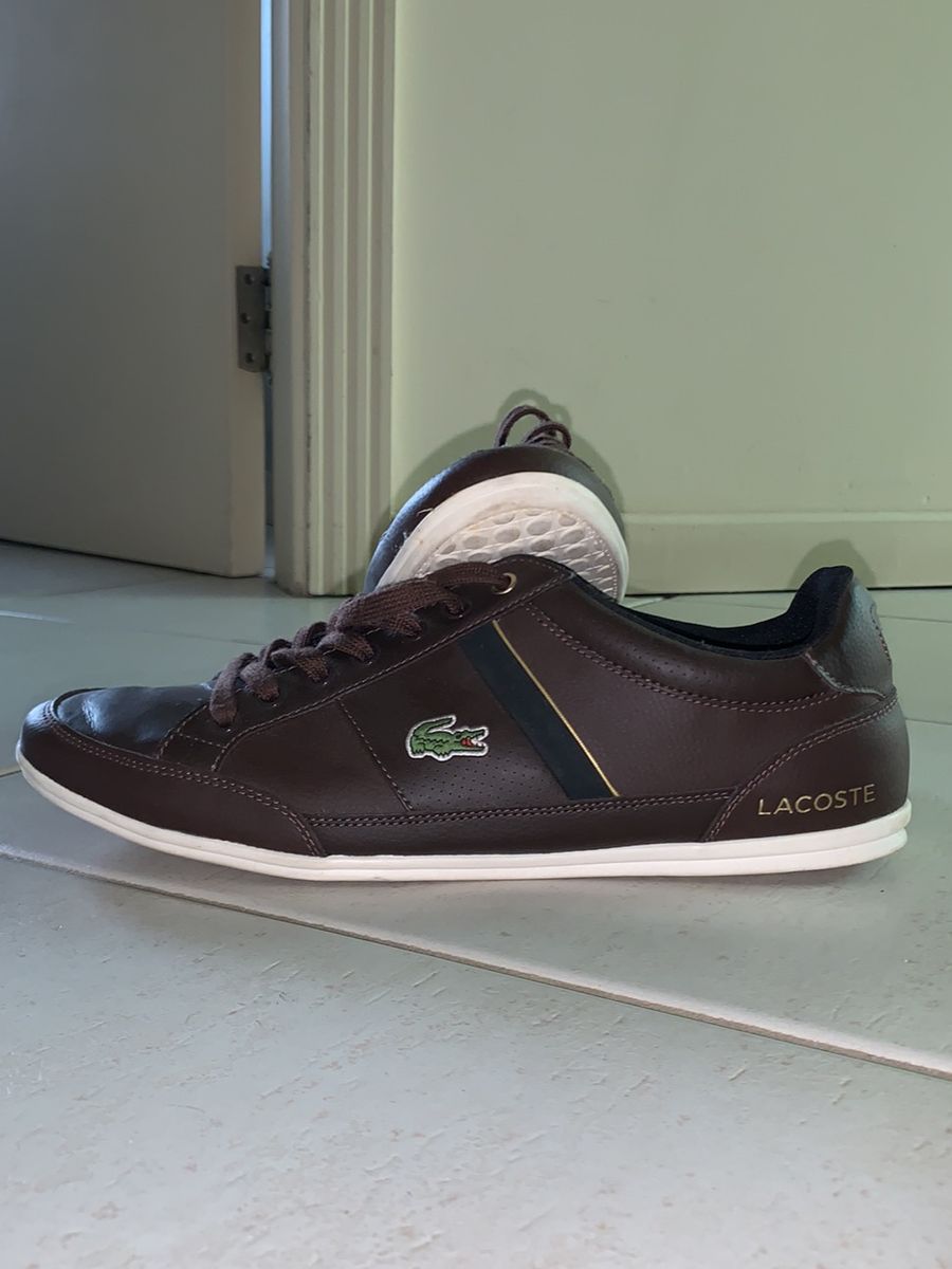 tenis lacoste marrom masculino