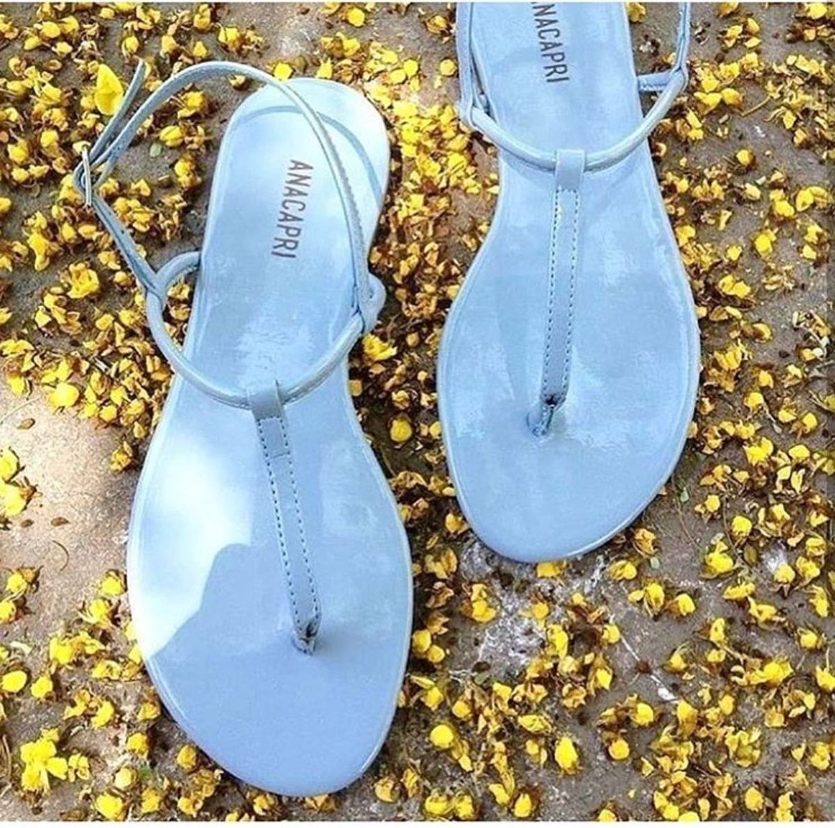 rasteirinha fio dental