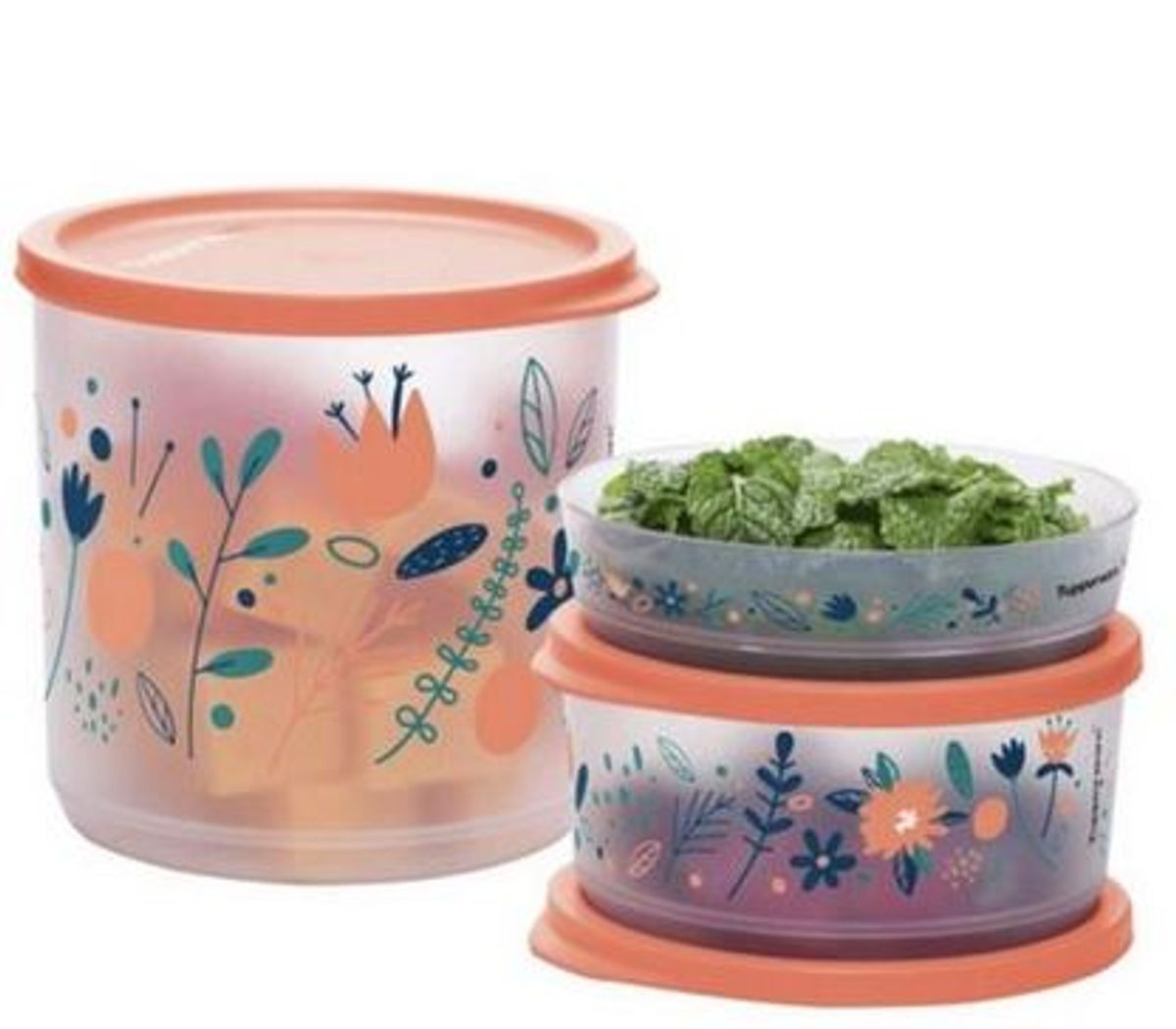 Refri Line Froral Fresh Kit 3 Pças Tupperware | Móvel de Cozinha ...