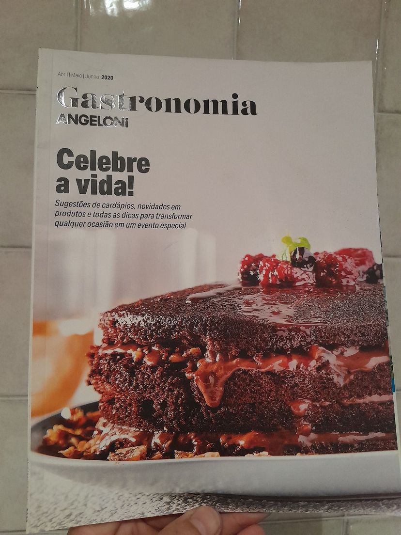 revista gastronomia angeloni - revistas angeloni 