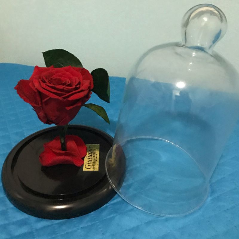 Rosa Encantada | Item de Decoração Giuliana-Flores Usado 45472111 | enjoei