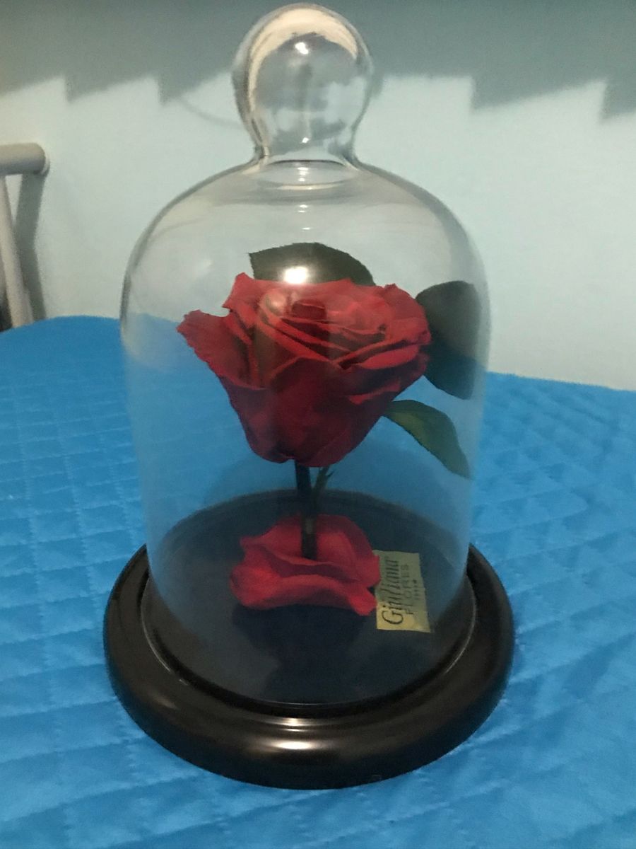 Rosa Encantada | Item de Decoração Giuliana-Flores Usado 45472111 | enjoei
