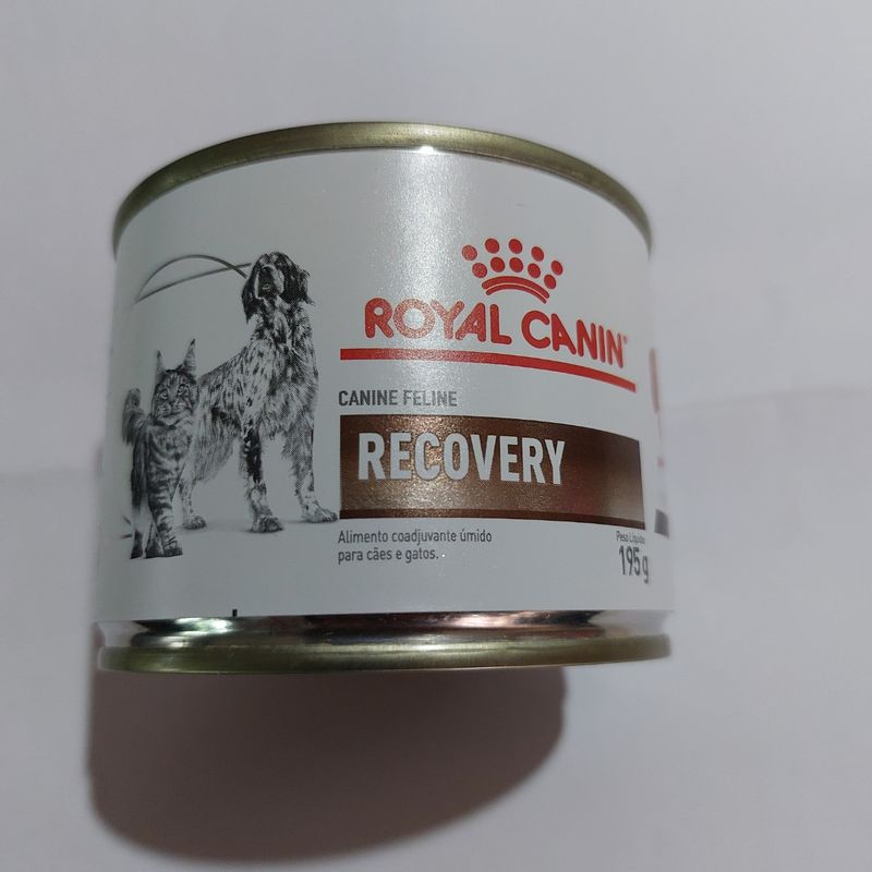 Conheça a linha de Recovery Feline e Canine da Royal Canin