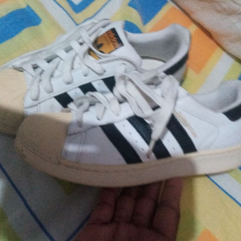 Sapatenes adidas 2024