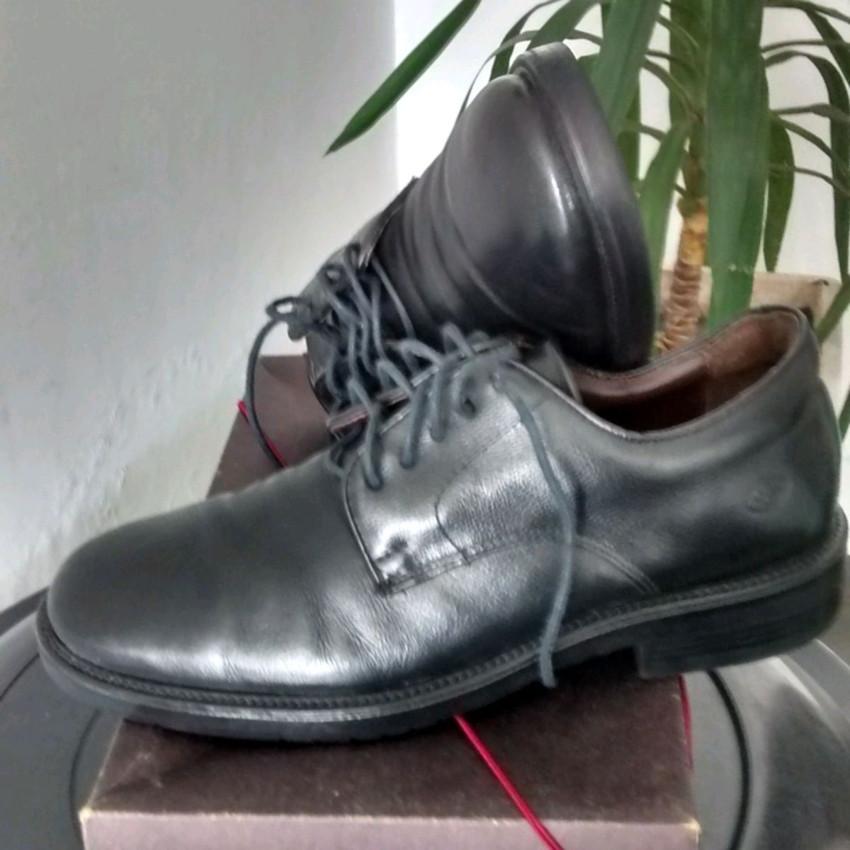 Sapato Mr. Cat Preto Comfort Sapato Masculino Mr Cat Usado 16074117