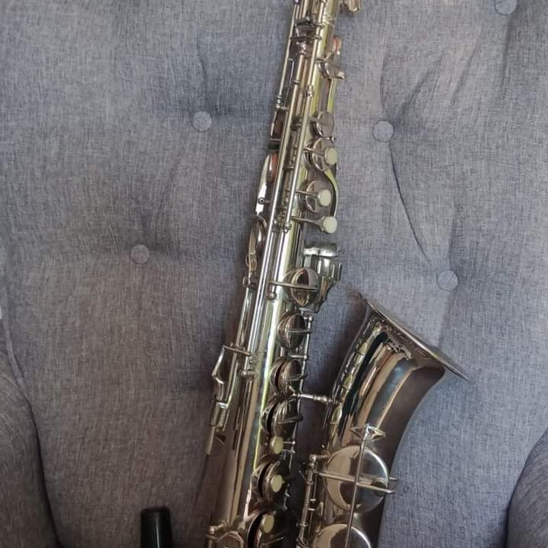 Saxofone Alto Vintago