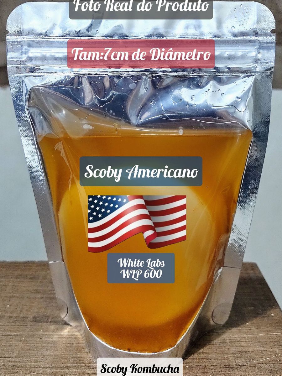 Scoby Americano White Labs wlp 600 Tam7cm de Diâmetro Móvel p