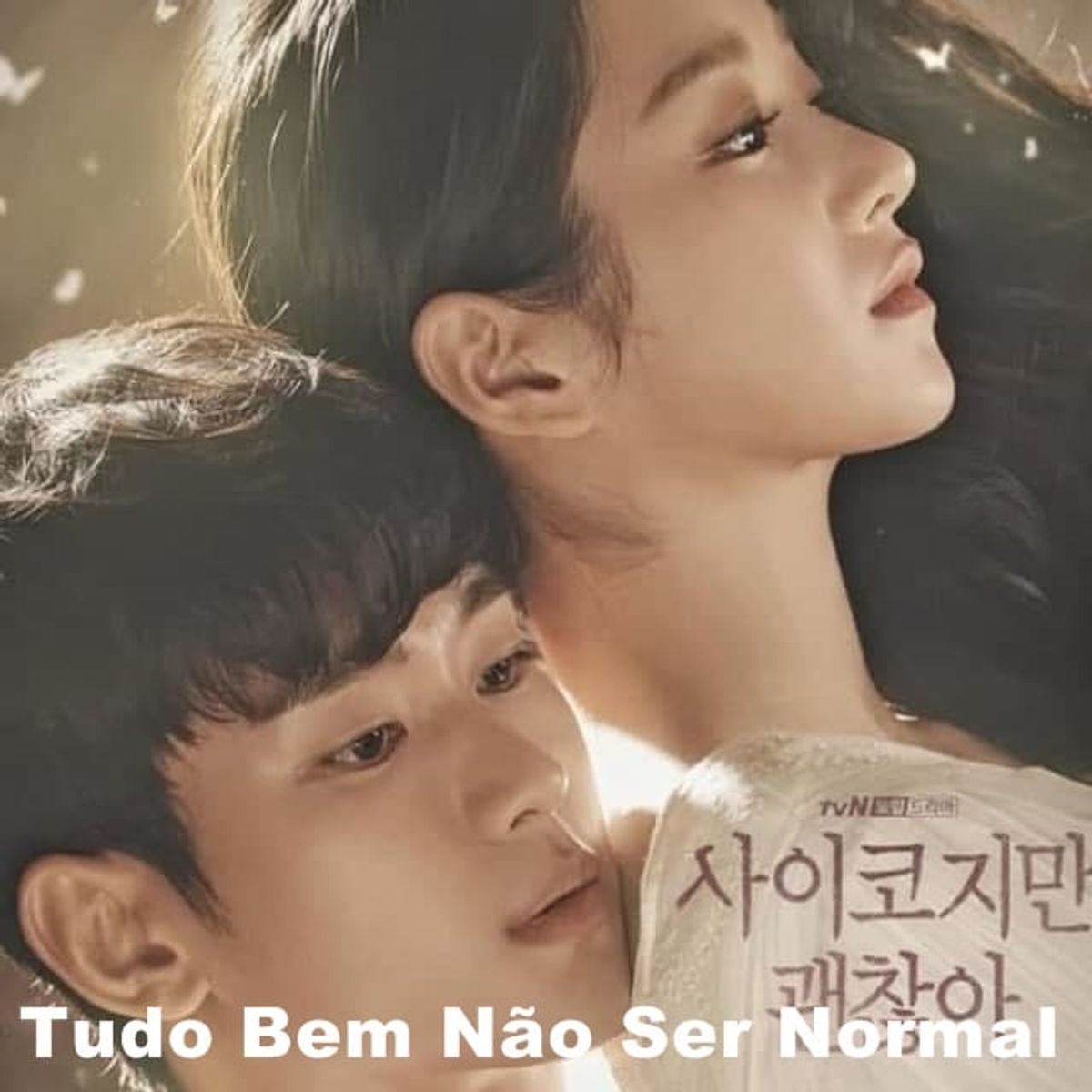Serie Completa em Dvd Tudo Bem Não Ser Normal Dublada | Filme e Série ...