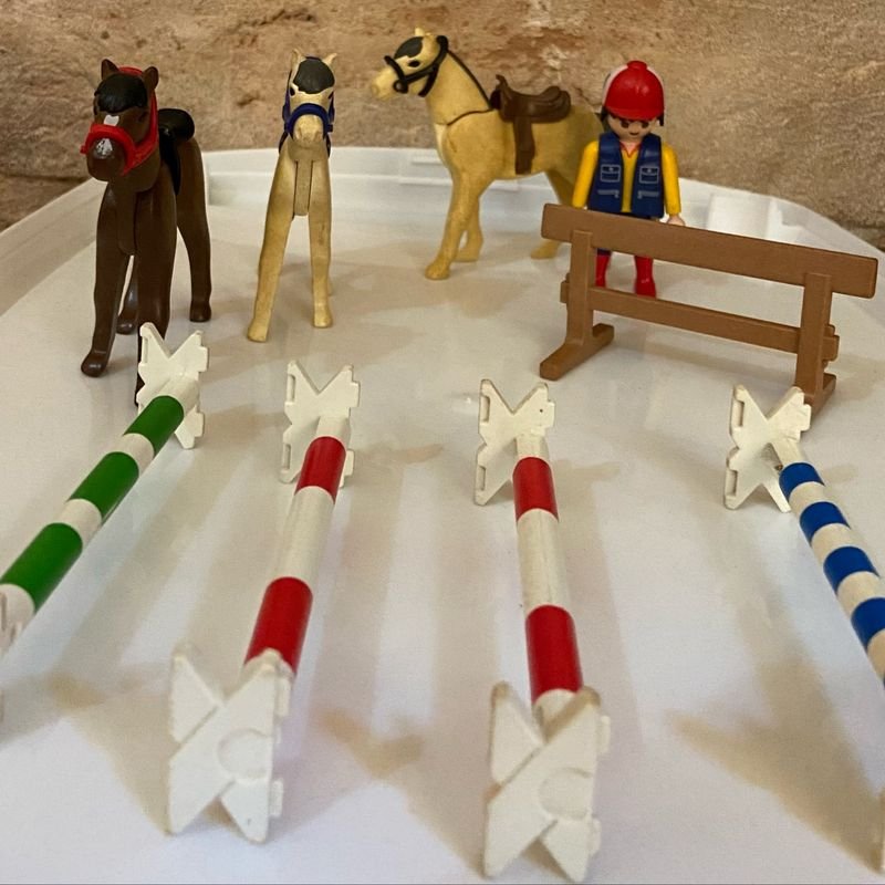 Meus obstáculos(cavalos de brinquedo) 