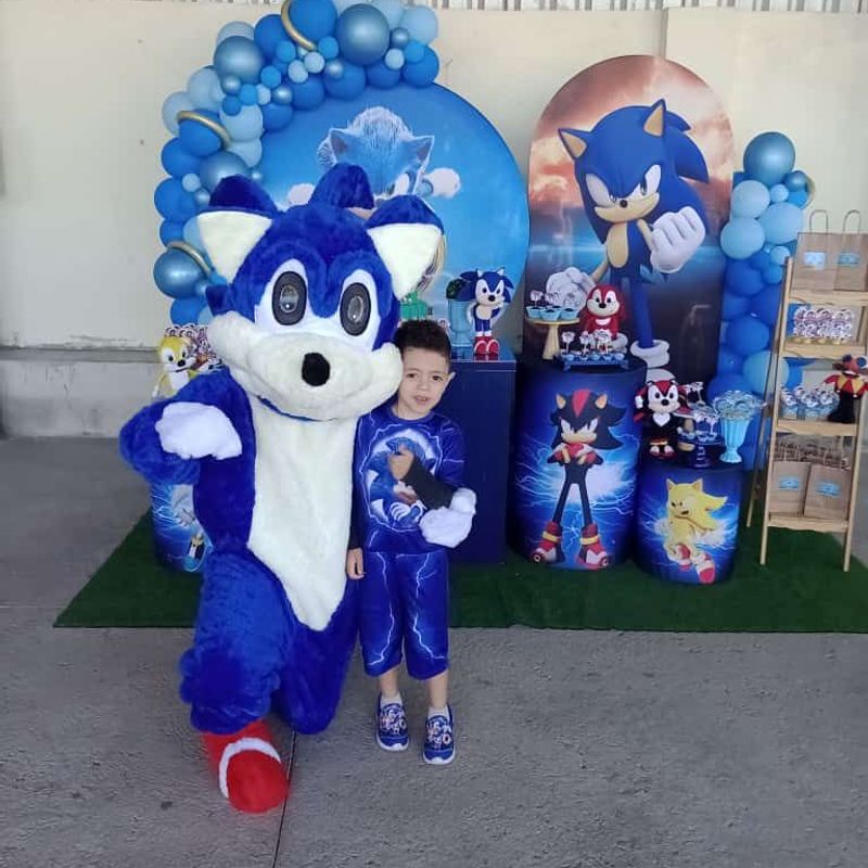 Fantasia Infantil Sonic