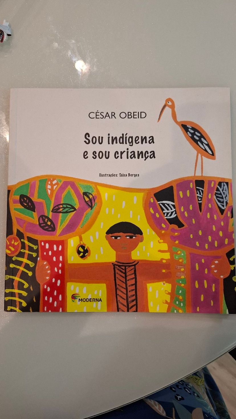 Sou Indígena e Sou Criança | Livro Livro Usado 134401771 | enjoei