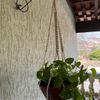 suporte de plantas artesanal - plantas & sementes 