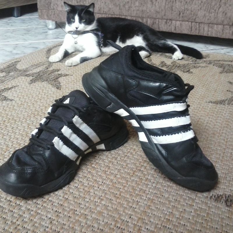 Adidas 2024 4.3 preto