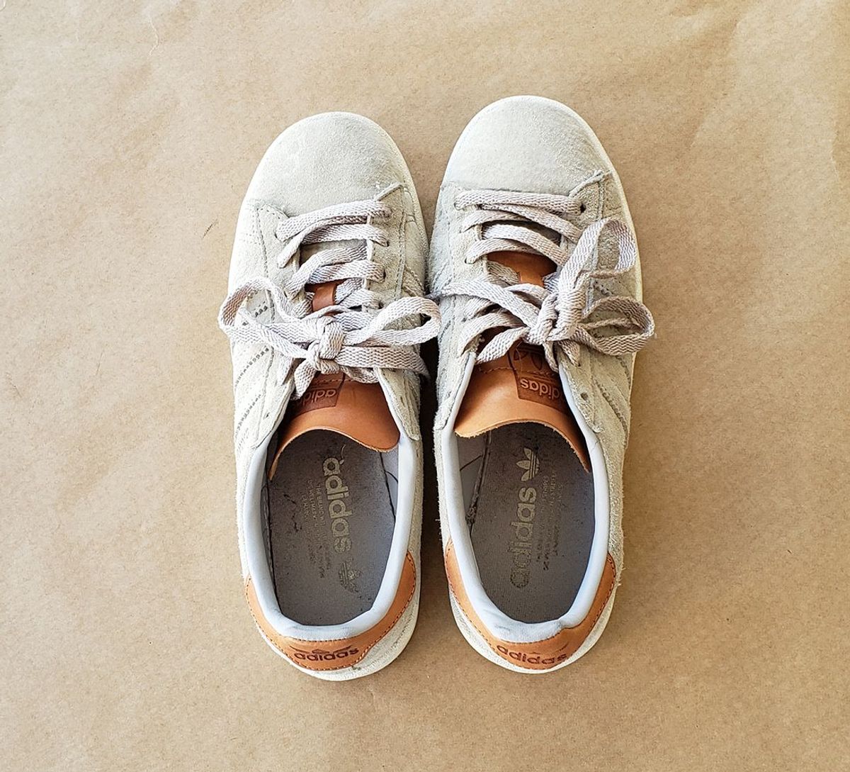 adidas campus 36