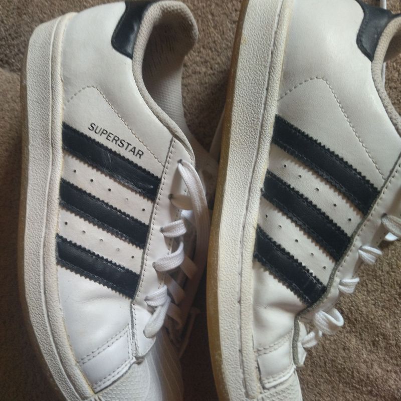 Adidas 2024 superstar juvenil