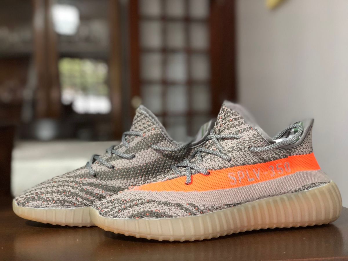 beluga tenis