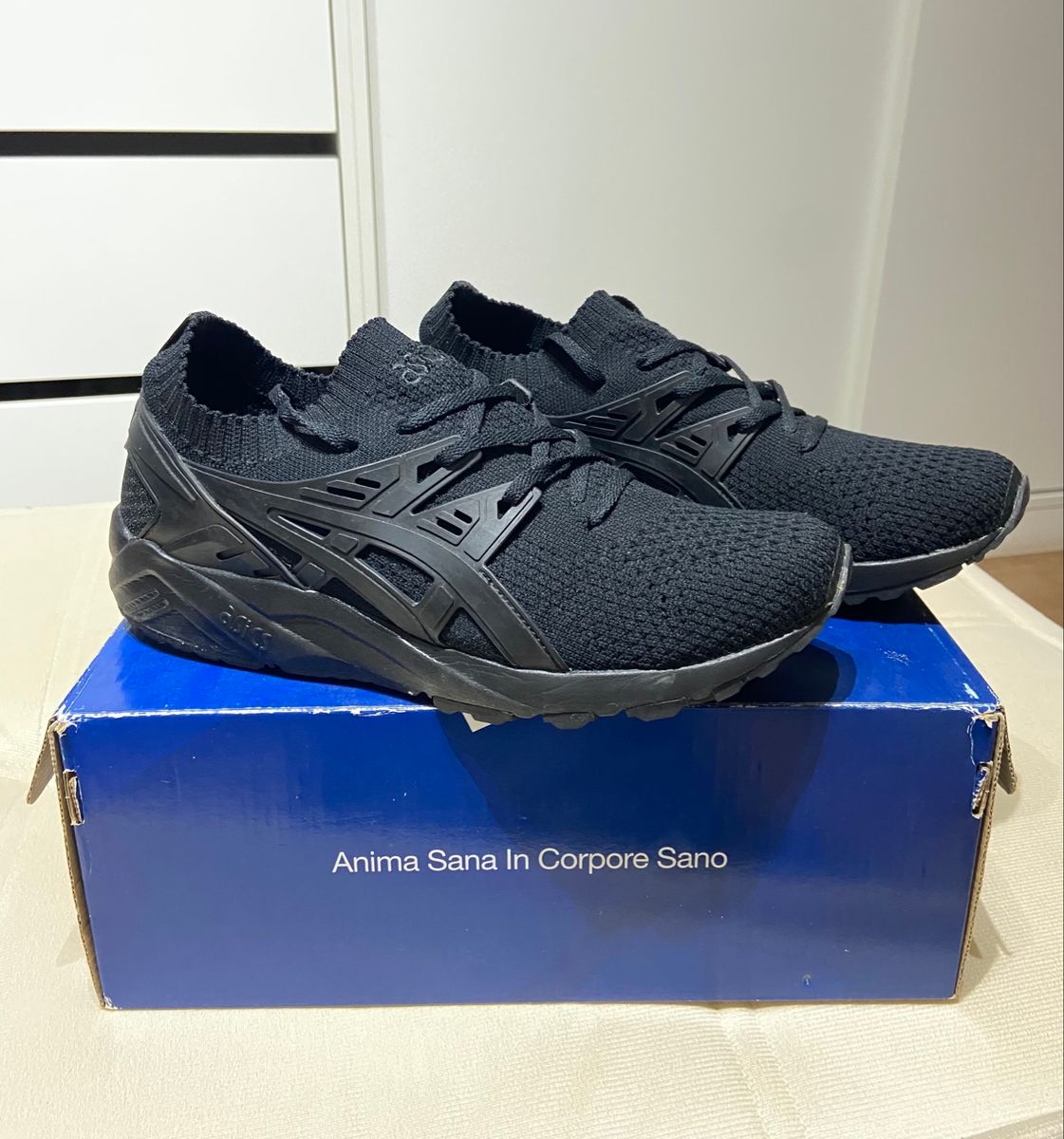 Asics gel kayano hot sale trainer evo knit