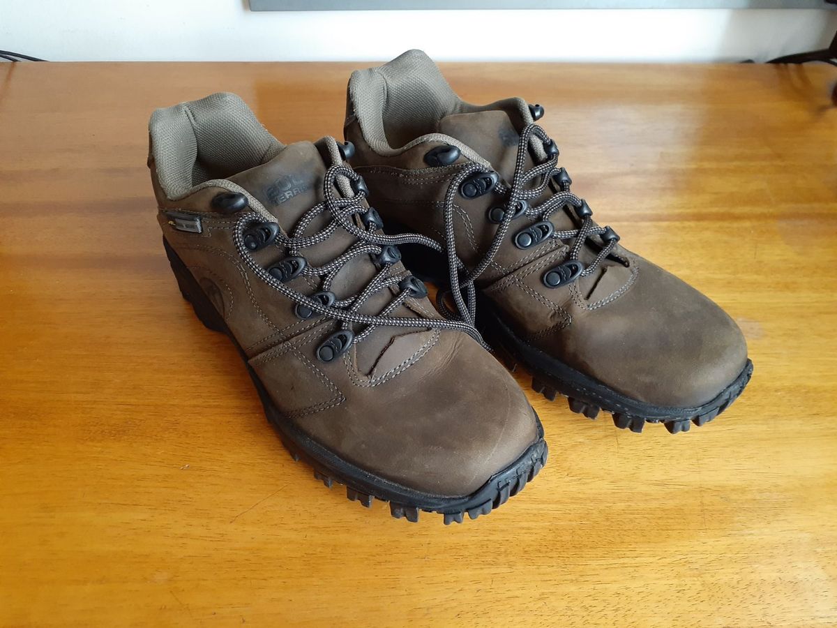 tênis bull terrier fox terrier low