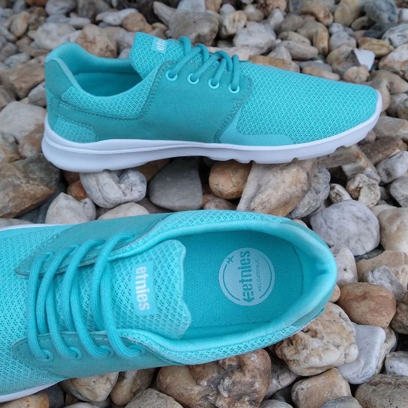 Etnies store scout blue