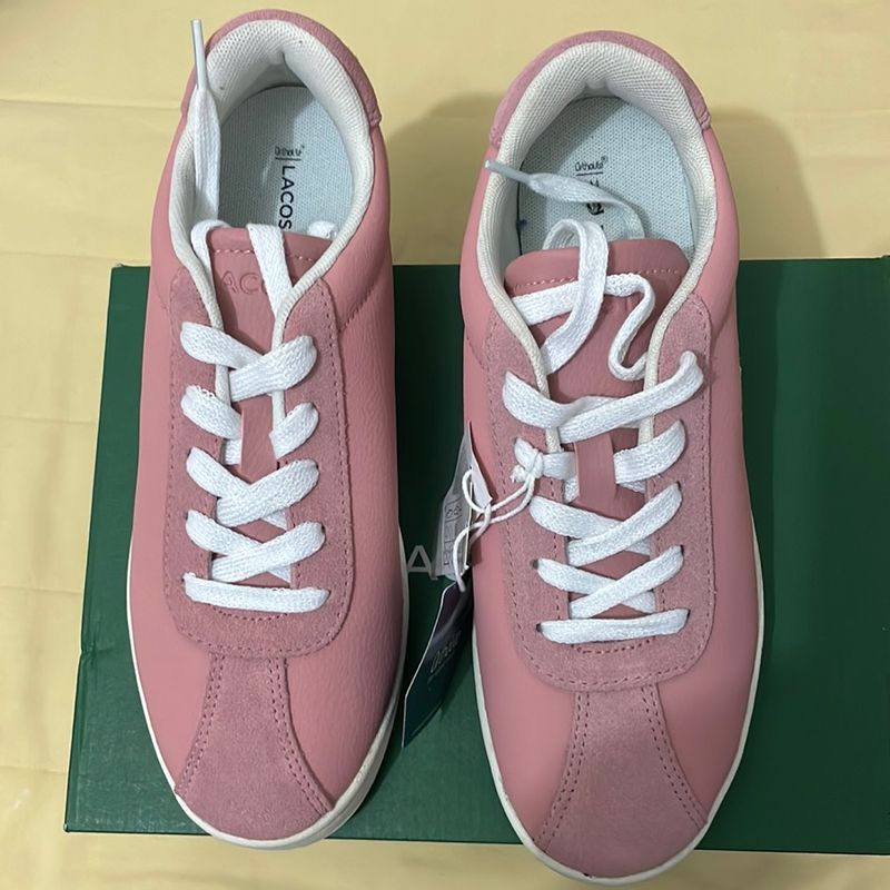 Tenis lacoste hot sale camurça