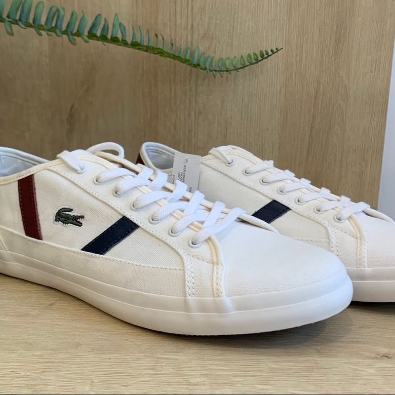 Lacoste sideline clearance tricolor sneaker