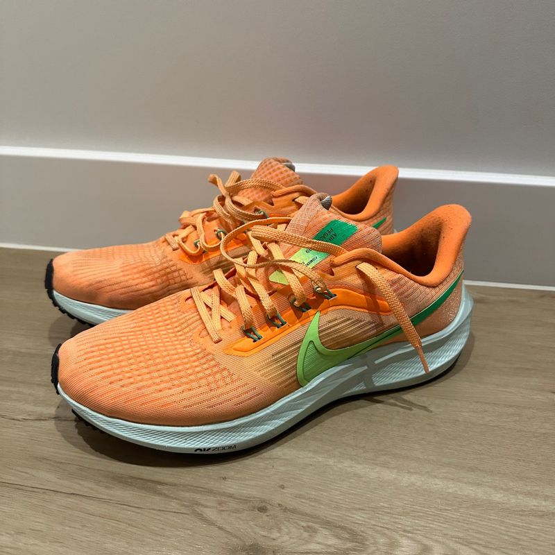 Pegasus 2024 36 orange