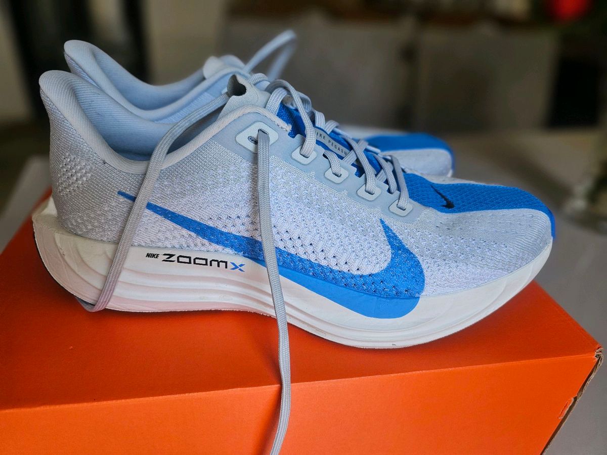 Tênis Nike Pegasus Plus 41 | Tênis Masculino Nike Usado 141361974 | enjoei