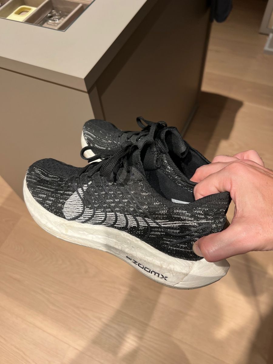 Pegasus flyknit store