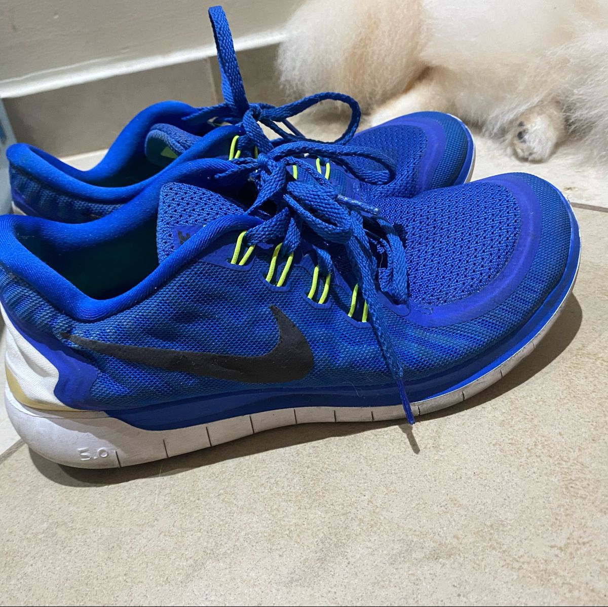 chaussure foot montante